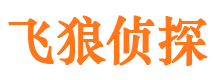 赵县外遇调查取证